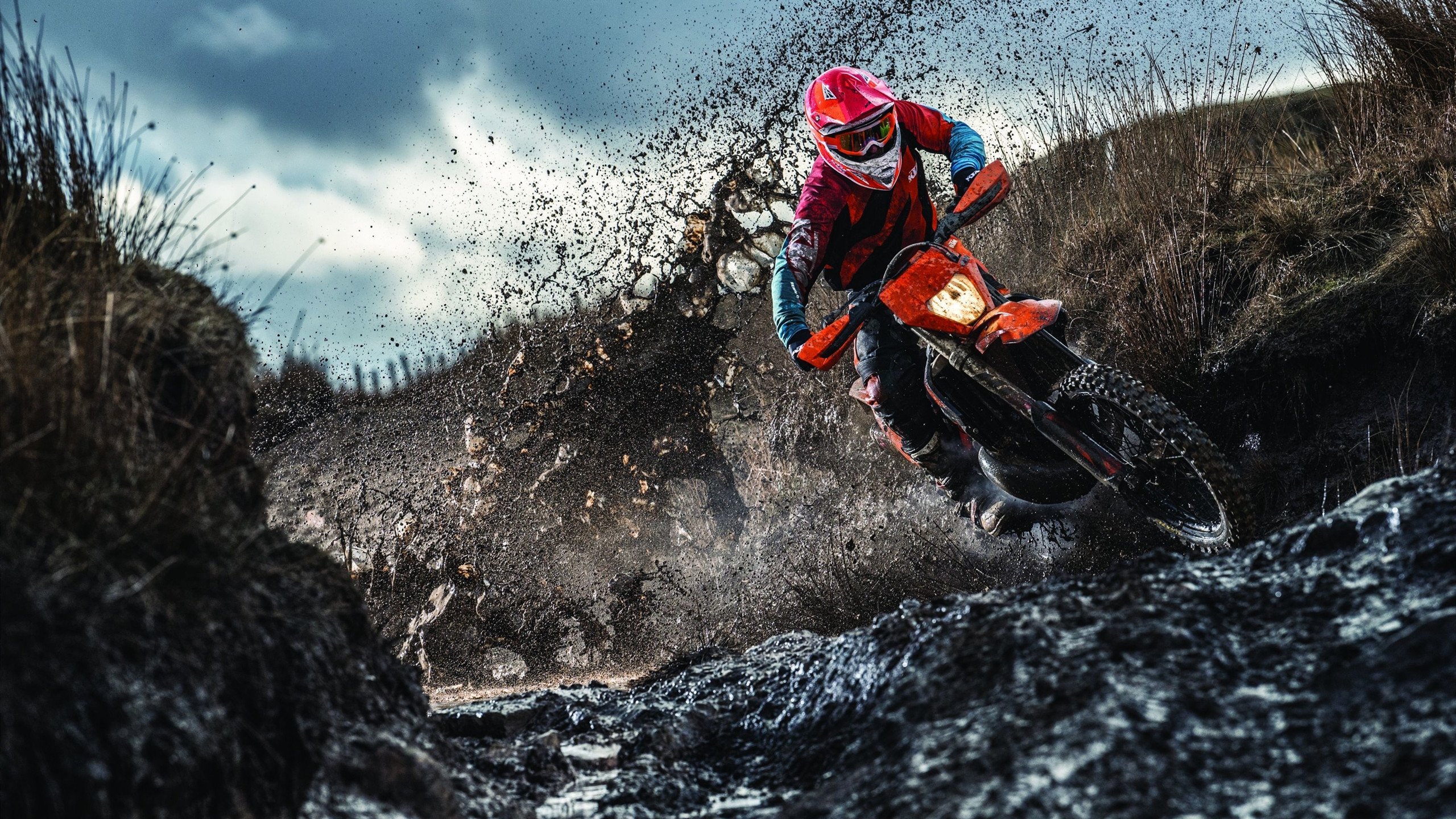 开云体育开云-5连胜黑马狂奔！活塞125-107篮网，NBA最新排名出炉，篮网活塞比分